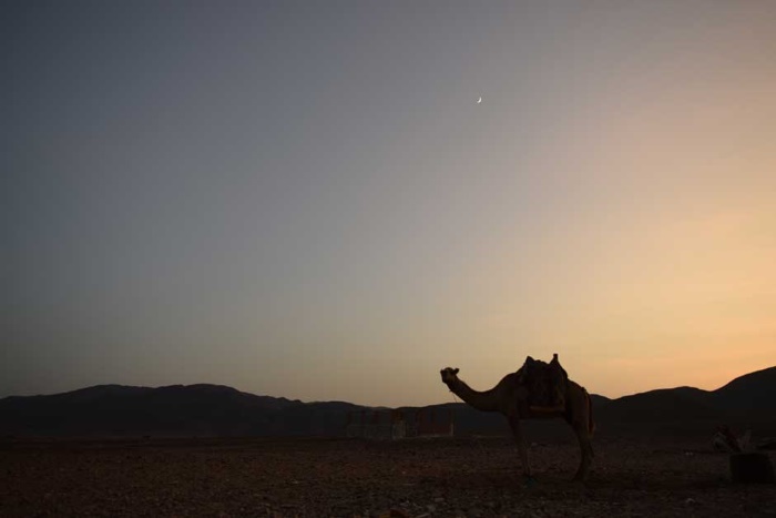 Escursione di notte nel deserto a Marsa Alam