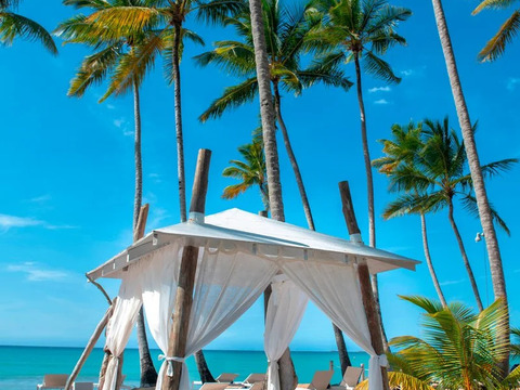 Viva Wyndham Samana particolare spiaggia