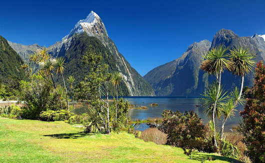 Waiheke Island - Nuova Zelanda - Un nido d'amore a dir poco selvaggio